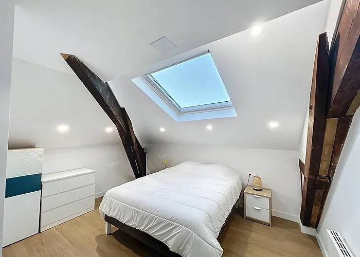 Petit Cocon Sous Les Toits Au Centre De *